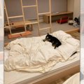 飼い主さんを待って…