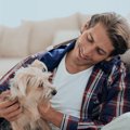 なぜ犬は撫でられる…