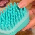 ブラシを噛みたがる…