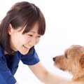 犬の関節炎、痛みを…