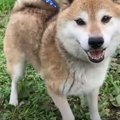 ５年越しの卒業！元…