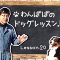 わんばぱのドッグレ…
