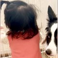 ハイハイしかできな…