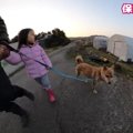 保健所出身！元『噛…