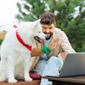 犬が体をぶつけてく…