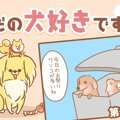 ただの犬好きです。…