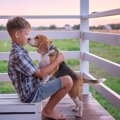 犬が『気を遣ってい…
