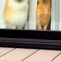 『私のメイク前とメ…