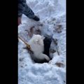 真っ白な雪原にぽっ…