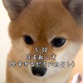 朝の5時30分『はやく…