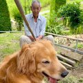 大型犬にイタズラす…