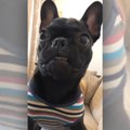 赤ちゃん→おっさんへ…