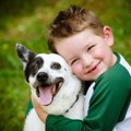 犬との暮らしは幼い…