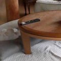 仕事中、留守番中の…