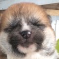 悶絶必至！生まれた…