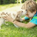 犬に嫌われやすい人…