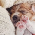 見て触って健康チェ…