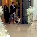 結婚式でリングドッ…