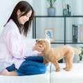 犬の飼い主が知って…