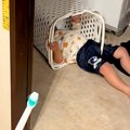 2歳の女の子が『絶対…