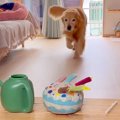 『じょうろ持ってき…