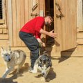 犬が『脱走』する意…