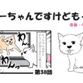 ちーちゃんですけど…