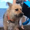 初めての海！先輩ワ…