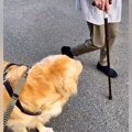 散歩中、見知らぬお…