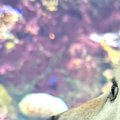 生まれて初めて『水…