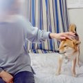 犬が久々におばあち…