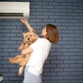 犬がいる部屋の『適…