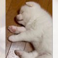 足をピクピク♡夢の中…