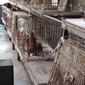 廃業した業者から高…