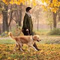 犬を飼うと寿命が延…