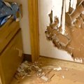 ボロボロに破壊され…