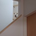 破壊力が最強すぎる…