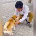 出張帰りのパパを犬…