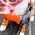 雨の日、カッパを着…