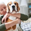 『寿命が短い犬種』…