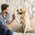 愛犬と向き合うって…