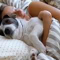犬の『寝場所』でわ…