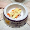 犬の手作りご飯！簡…
