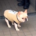 『さんぽ行くぞ』と…