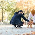 初対面の犬にしては…