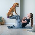 新しく開発された犬…
