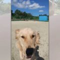 迫力満点！突撃して…