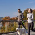 犬の飼い主の運動量…