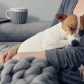 なぜ犬は女性が好き…