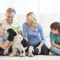 「犬を飼っている人…